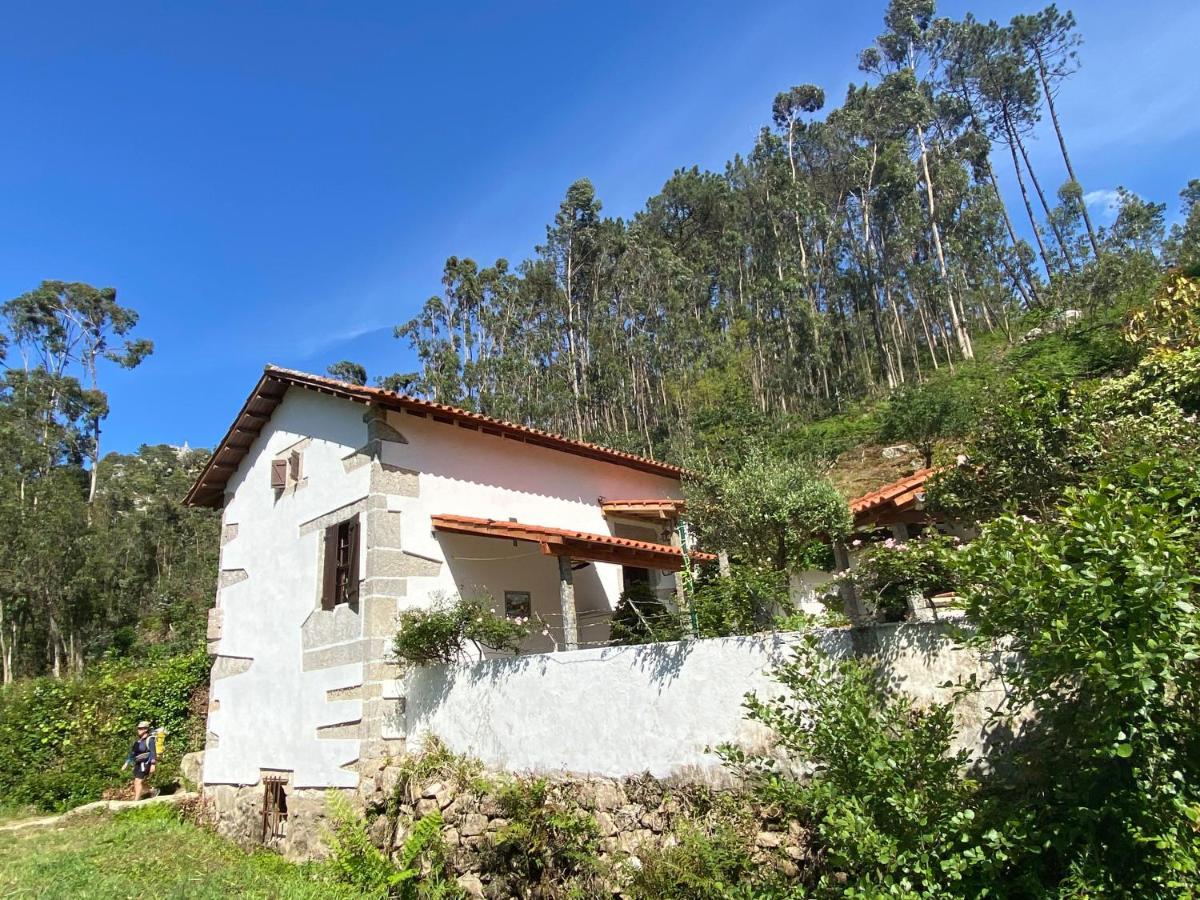 Villa Casa Da Azenha Branca Castelo Do Neiva Esterno foto