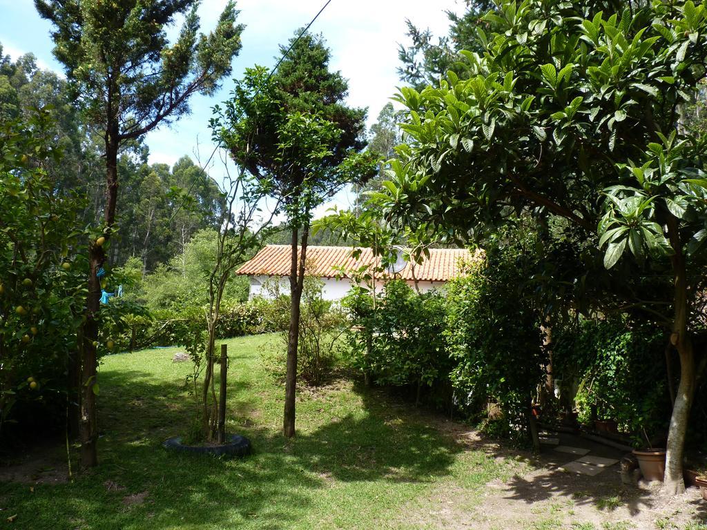 Villa Casa Da Azenha Branca Castelo Do Neiva Esterno foto